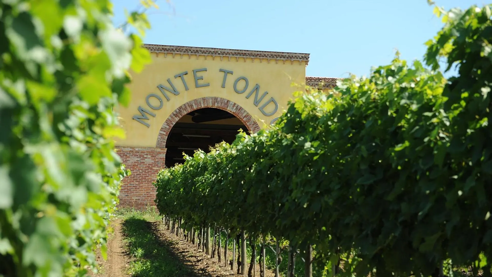 Kır Evi Monte Tondo Winery Konuk evi Soave