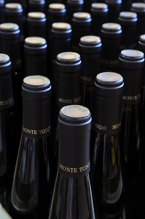 Gospodarstwo wiejskie Pensjonat Monte Tondo Winery Soave